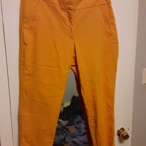 Sunflower yellow pants